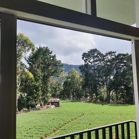 Green Mount View Two Bed Room Apartment 努沃勒埃利耶 外观 照片